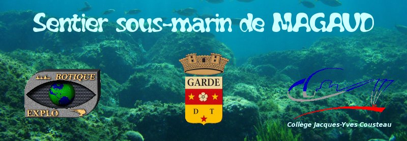 Sentier sous-marin de Magaud